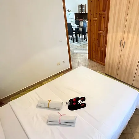 Ferienhaus Finikas Garden Karianí